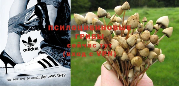 стафф Майский