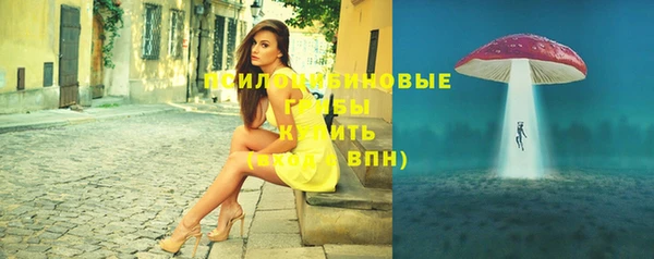 стафф Майский