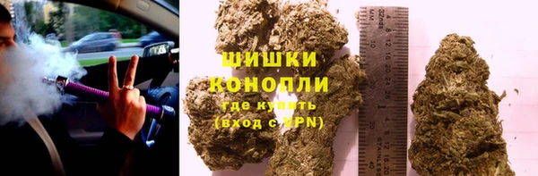 стафф Майский
