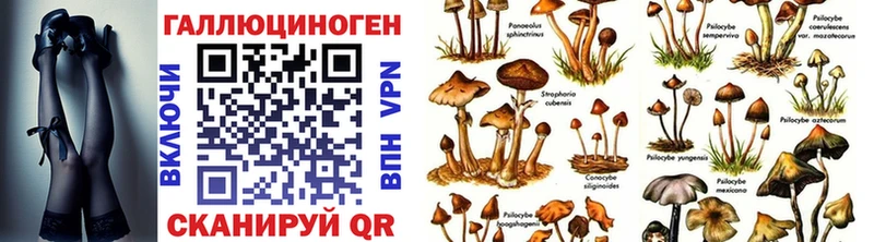 магазин продажи   ссылка на мегу зеркало  Галлюциногенные грибы Psilocybe  Олонец 