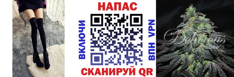 Шишки марихуана сатива Олонец